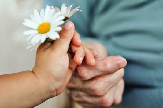 Do you know the language of flowers? Flowers are a perfect ally for games and activities with your child.