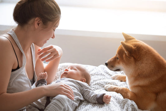 Mom, baby, and dog