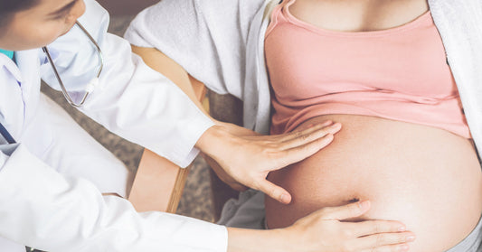 The gynecologist palpates the fundal height.