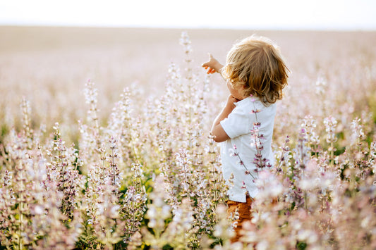 Which flower is associated with your child's birth month?