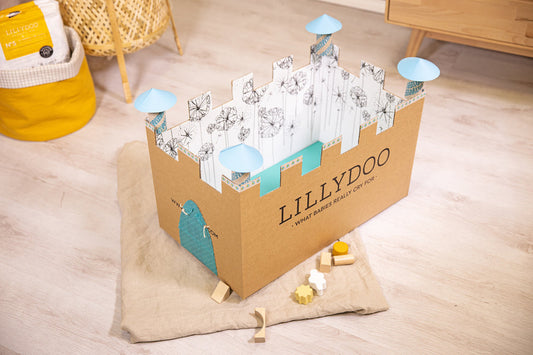 Creative upcycling ideas for your LILLYDOO box
