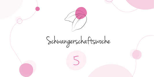 LILLYDOO Pregnancy Calendar Week 5 Your baby is as big as a sesame seed