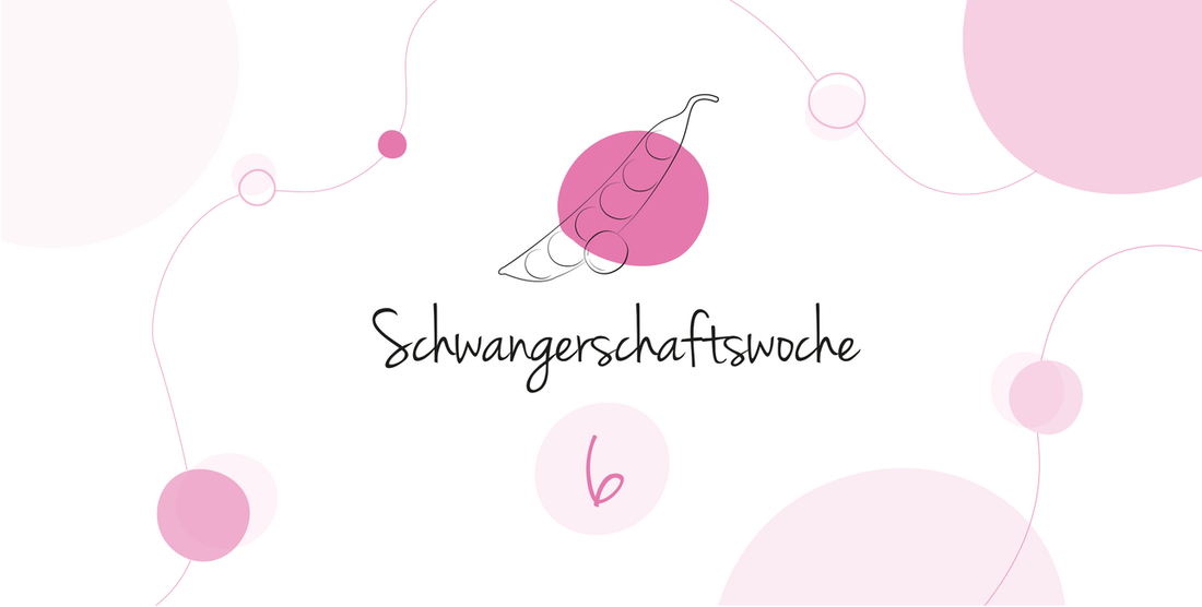 LILLYDOO Pregnancy Calendar Week 6 Your baby is as big as a pea