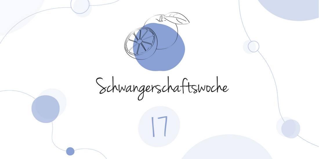 LILLYDOO Pregnancy Calendar Week 17 Your baby is as big as an orange