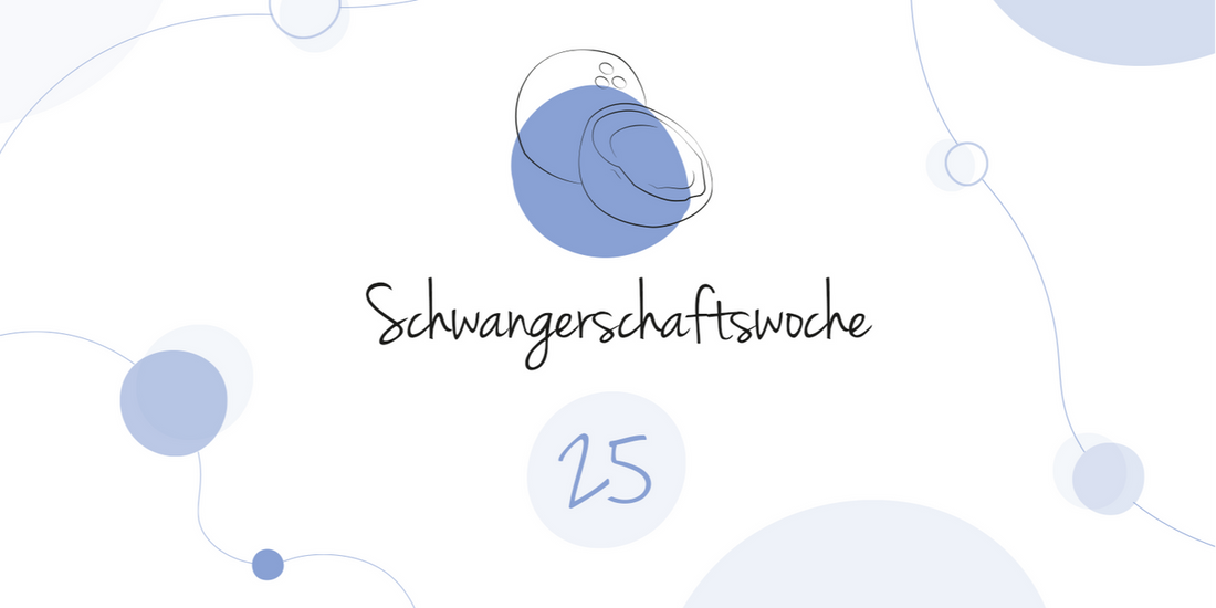 LILLYDOO Pregnancy Calendar Week 25 Your baby is as big as a coconut