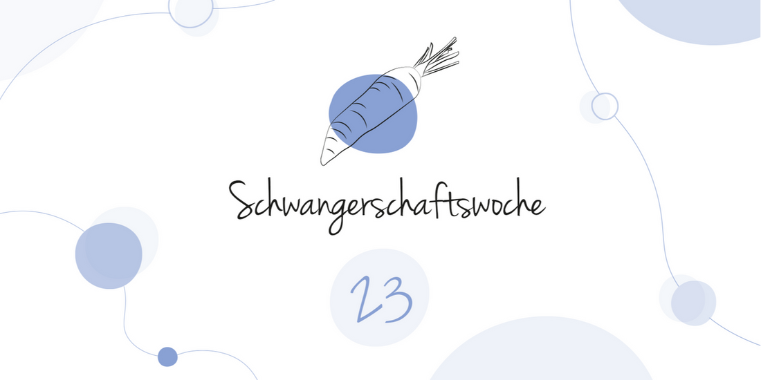 LILLYDOO Pregnancy Calendar Week 23 Your baby is as big as a carrot