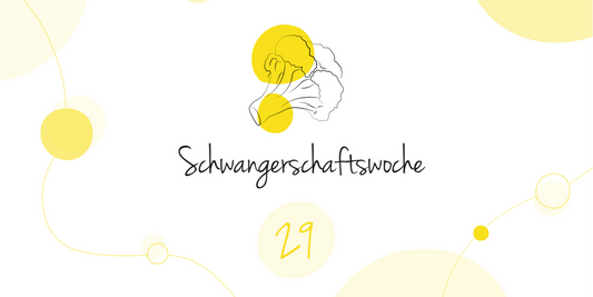 LILLYDOO Pregnancy Calendar week 29 Your baby is as big as a broccoli