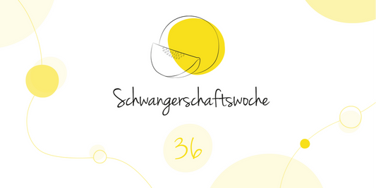 LILLYDOO Pregnancy Calendar Week 36 Your baby is as big as a honeydew melon