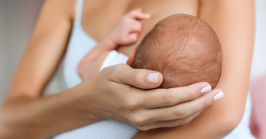 Woman holds a newborn for breastfeeding at her breast.