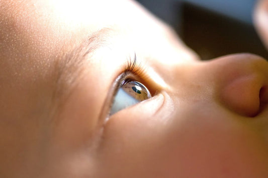 Baby with brown eyes stares into the air and the sun shines on his face.
