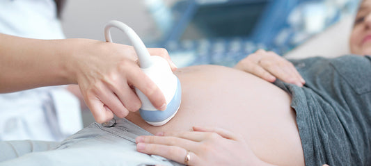 Fascination Placenta