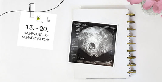 Sissi with baby bump – 13th to 20th week of pregnancy