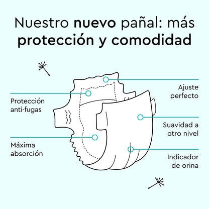 Paquete de prueba gratuito