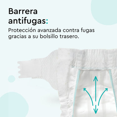 diapers_standard_pack_size_1_little_blowballs