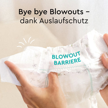 diapers_standard_pack_size_1_little_blowballs