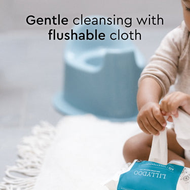 flushable_wipes_60_count