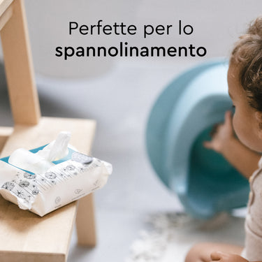 flushable_wipes_60_count