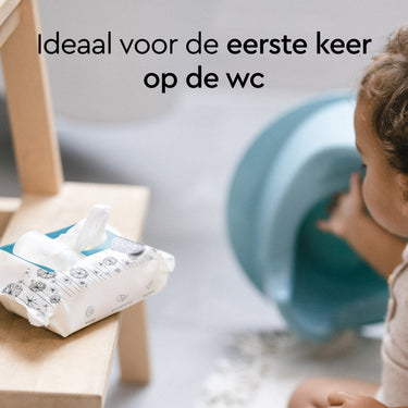 flushable_wipes_60_count