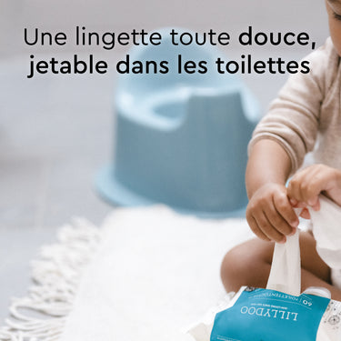 flushable_wipes_60_count