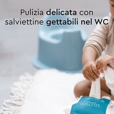 flushable_wipes_60_count