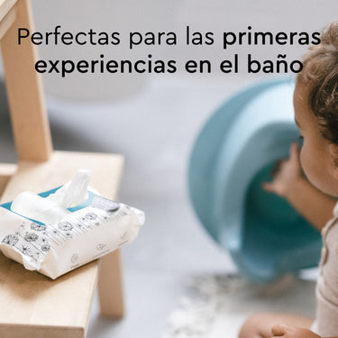 flushable_wipes_60_count