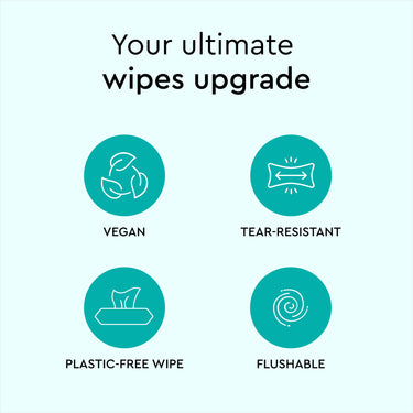 flushable_wipes_60_count