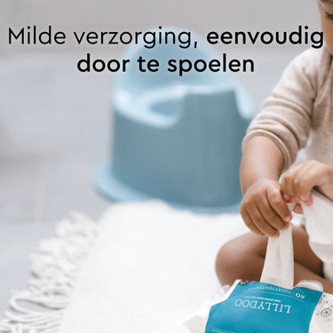 flushable_wipes_60_count