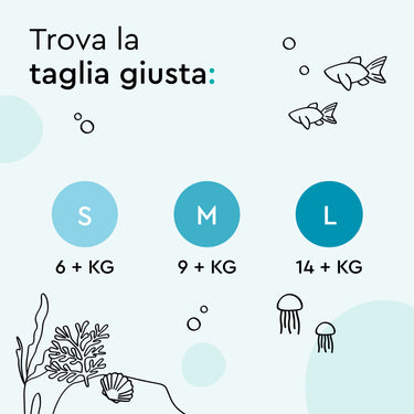 swim_pants_standard_pack_size_m_tiny_turtles_shell_yeah
