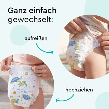 swim_pants_standard_pack_size_s_tiny_turtles_shell_yeah